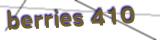 CAPTCHA Text